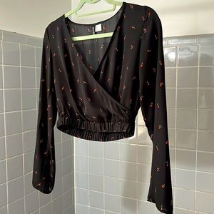 Sheer Black Long Sleeve Crop Top with Rose Details